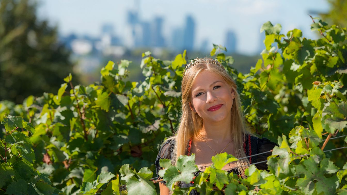 Frau mit Krone im Weinberg, Skyline von Frankfurt im Hintergrund.