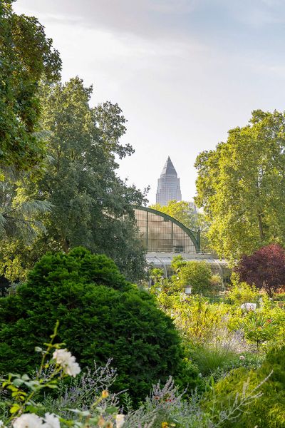 Blick auf üppige Vegetation im Frankfurter Palmengarten, mit einem Glashaus und der Skyline im Hintergrund, umgeben von grünen Bäumen.