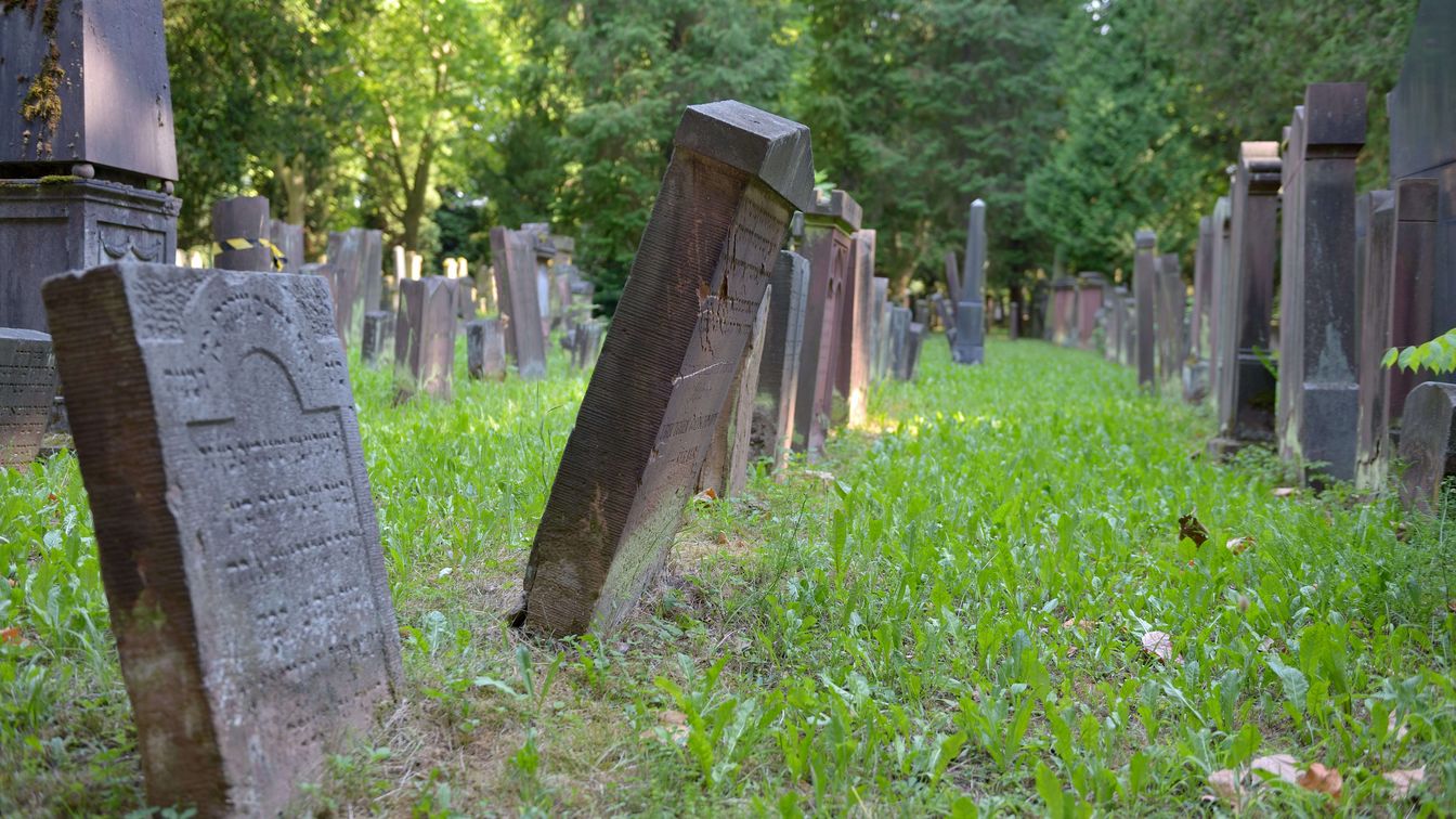 Alte Grabsteine auf einem jüdischen Friedhof, teilweise schief stehend, umgeben von grünem Gras und Bäumen im Hintergrund.
