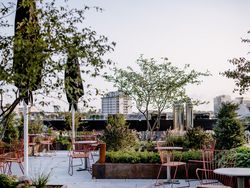 Grüne Rooftop-Terrasse mit roten Stühlen und Stadtblick im Hintergrund