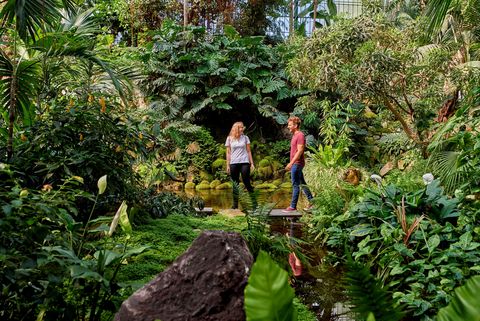 A couple walks through the palm house in the palm garden