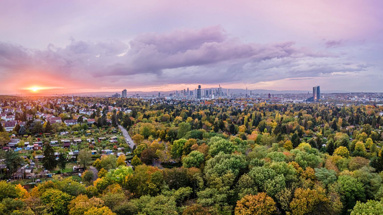 Blick vom Goetheturm über den Stadtwald auf die Skyline am Horizont, Sonne geht unter, taucht den Himmel in bunte Farben.