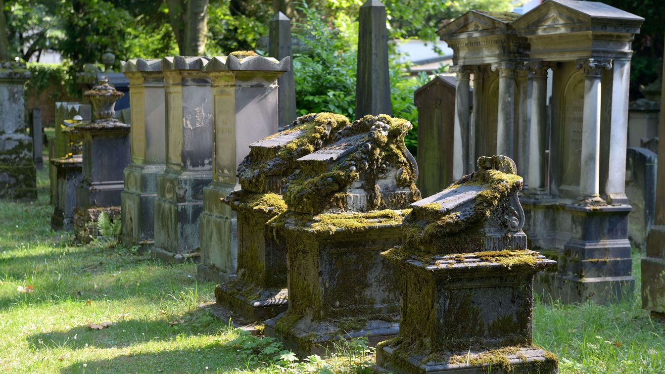 Alte, mit Moos bedeckte Grabmäler und Denkmäler auf einem jüdischen Friedhof, umgeben von üppigem Grün und Bäumen.