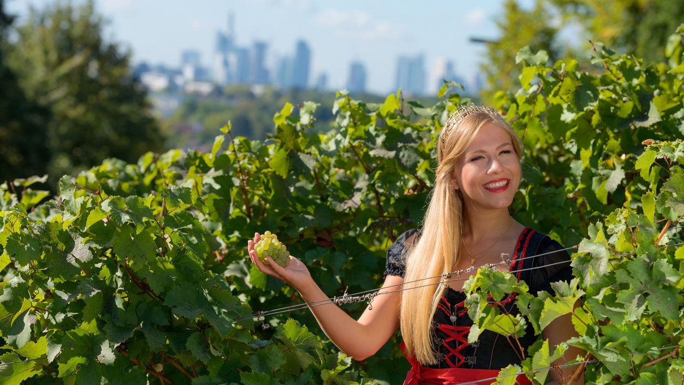 Frau mit Krone hält Trauben im Weinberg bei Frankfurt.