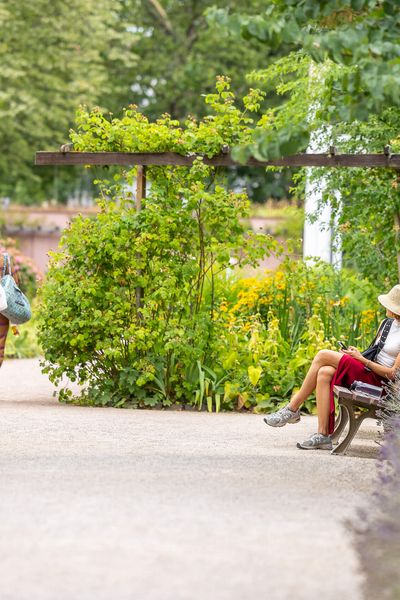 Eine malerische Szene im Bethmannpark mit einer kleinen weißen Gebäudeanlage und gepflegten Gärten, umgeben von sommerlich blühender Natur.