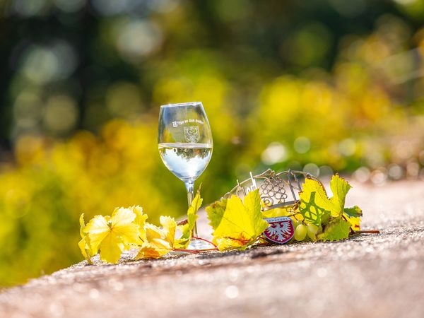 Weinglas mit Krone, Laub und Frankfurt-Wappen vor herbstlichem Hintergrund in der Sonne.