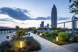 Abendlicher Spaziergang im Skyline Garden mit Frankfurt im Hintergrund.