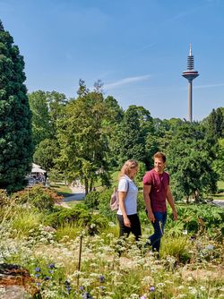 Ein Paar spaziert durch den üppig begrünten Palmengarten, Europaturm im Hintergrund