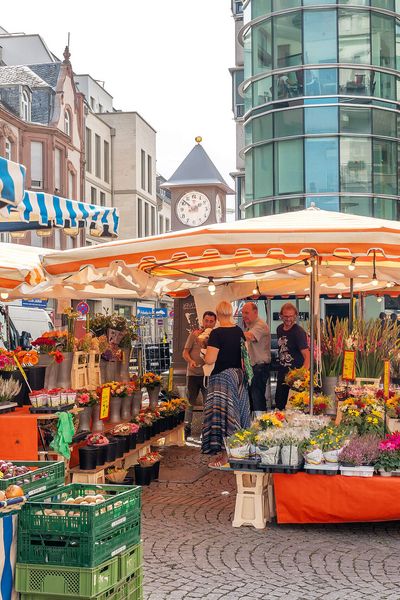 Marktstände mit frischen Lebensmitteln und Blumen, Kund*innen stöbern und kaufen ein.